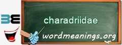 WordMeaning blackboard for charadriidae